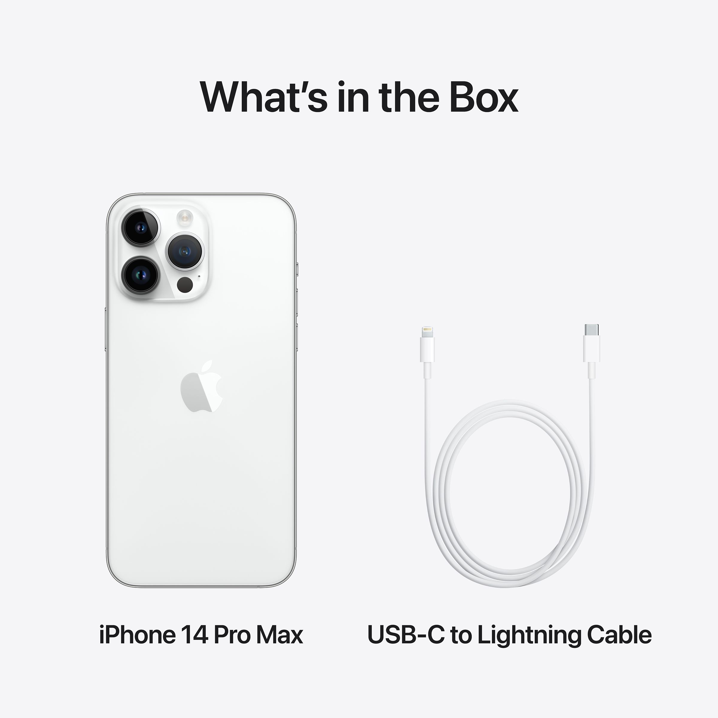 Buy Apple iPhone 14 Pro Max (1TB, Silver) Online - Croma